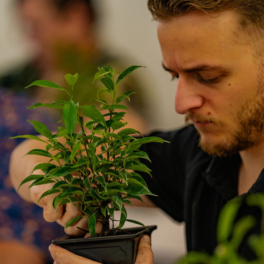 Intro to Indoor Bonsai at Hidden Lake Gardens - 7/12/25