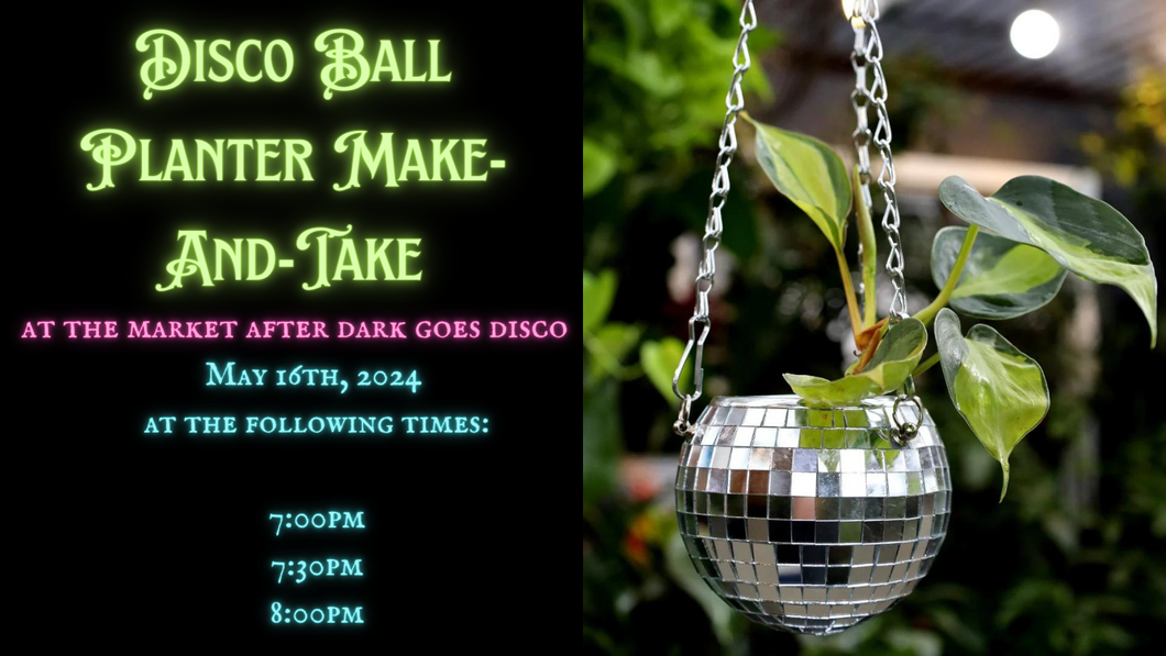Disco Ball Planter Make-And-Take // May 16th, 2024