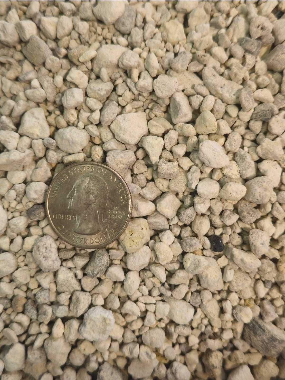 Pumice 1 gal. Refillable Bag
