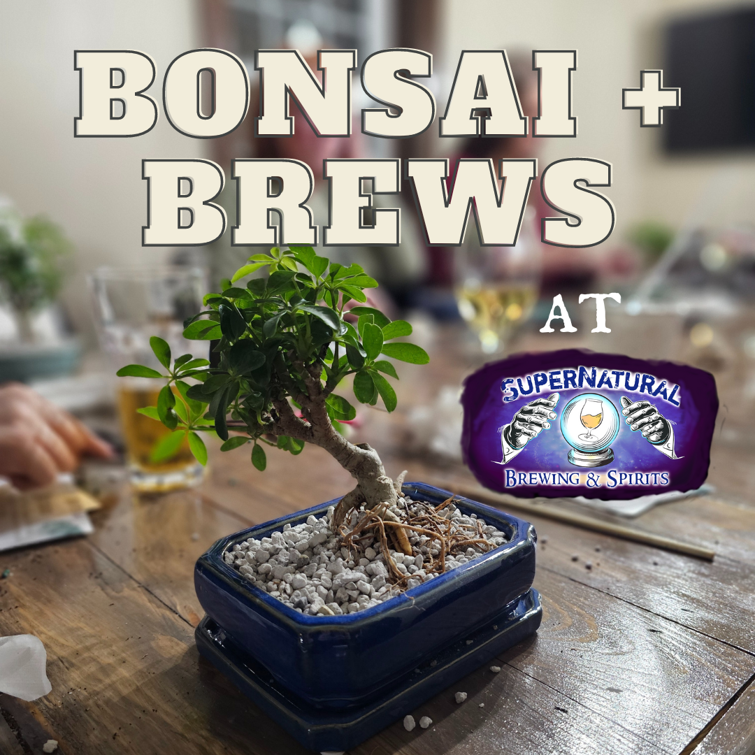 Bonsai + Brews at Supernatural Brewing and Spirits - 10/11/25 at 1pm