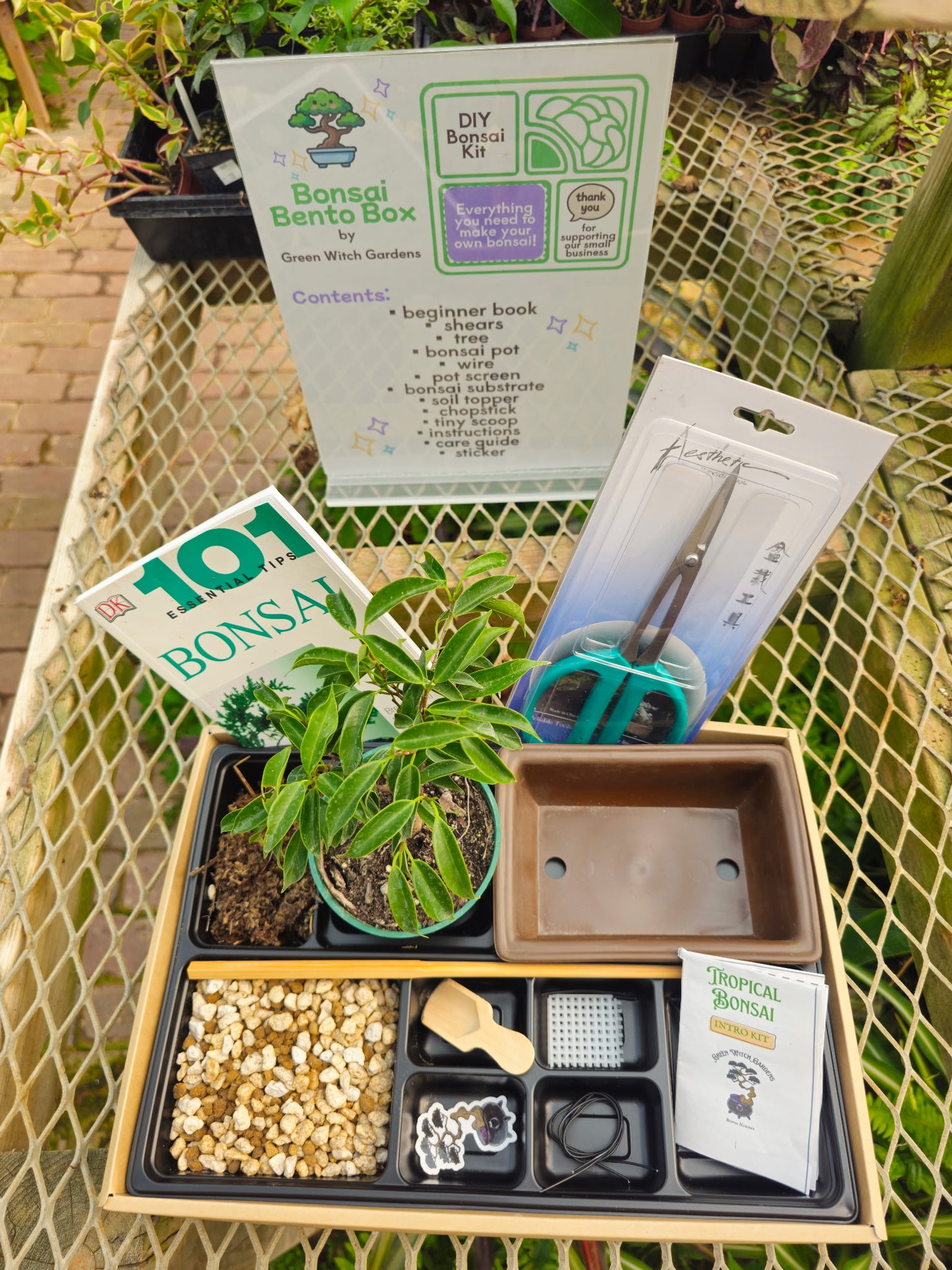 NEW! Bonsai Bento Box