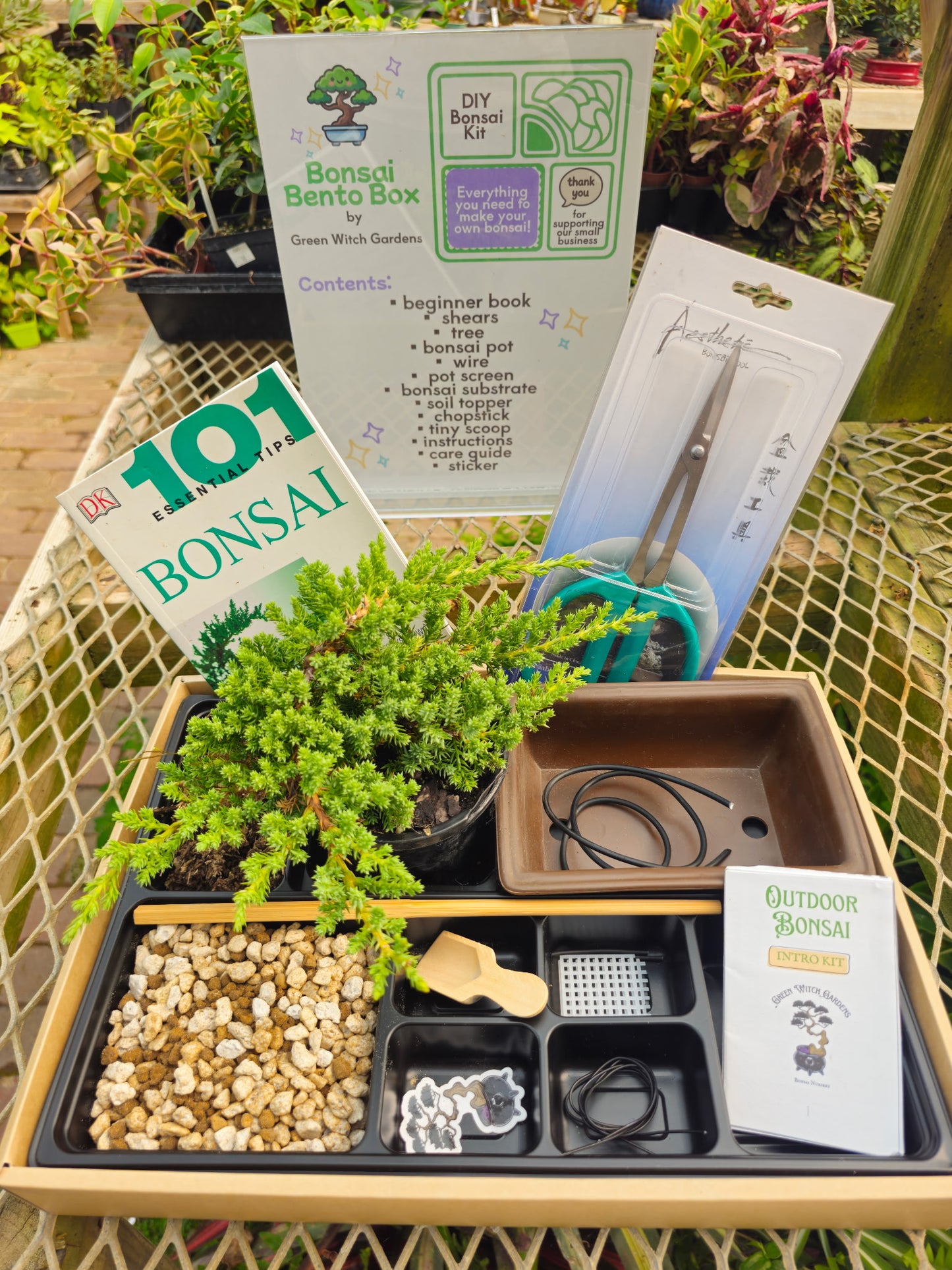 NEW! Bonsai Bento Box