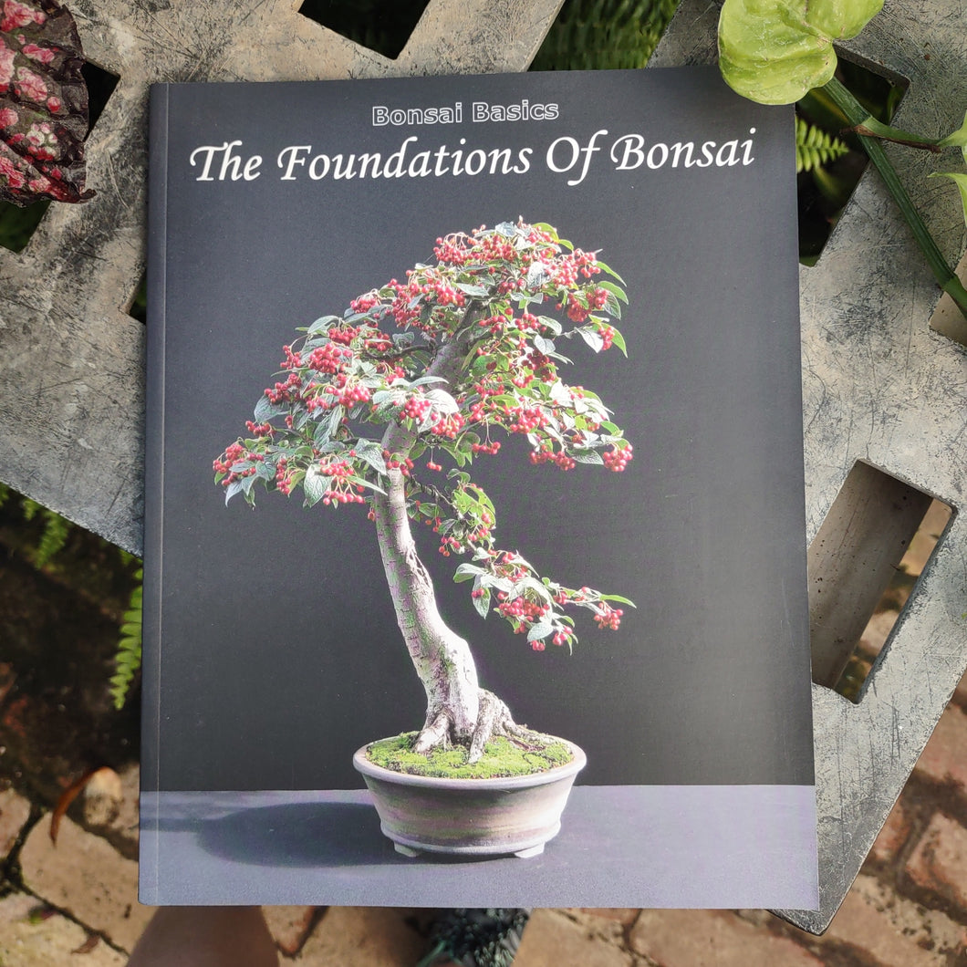 Foundations of Bonsai by Harry Harrington