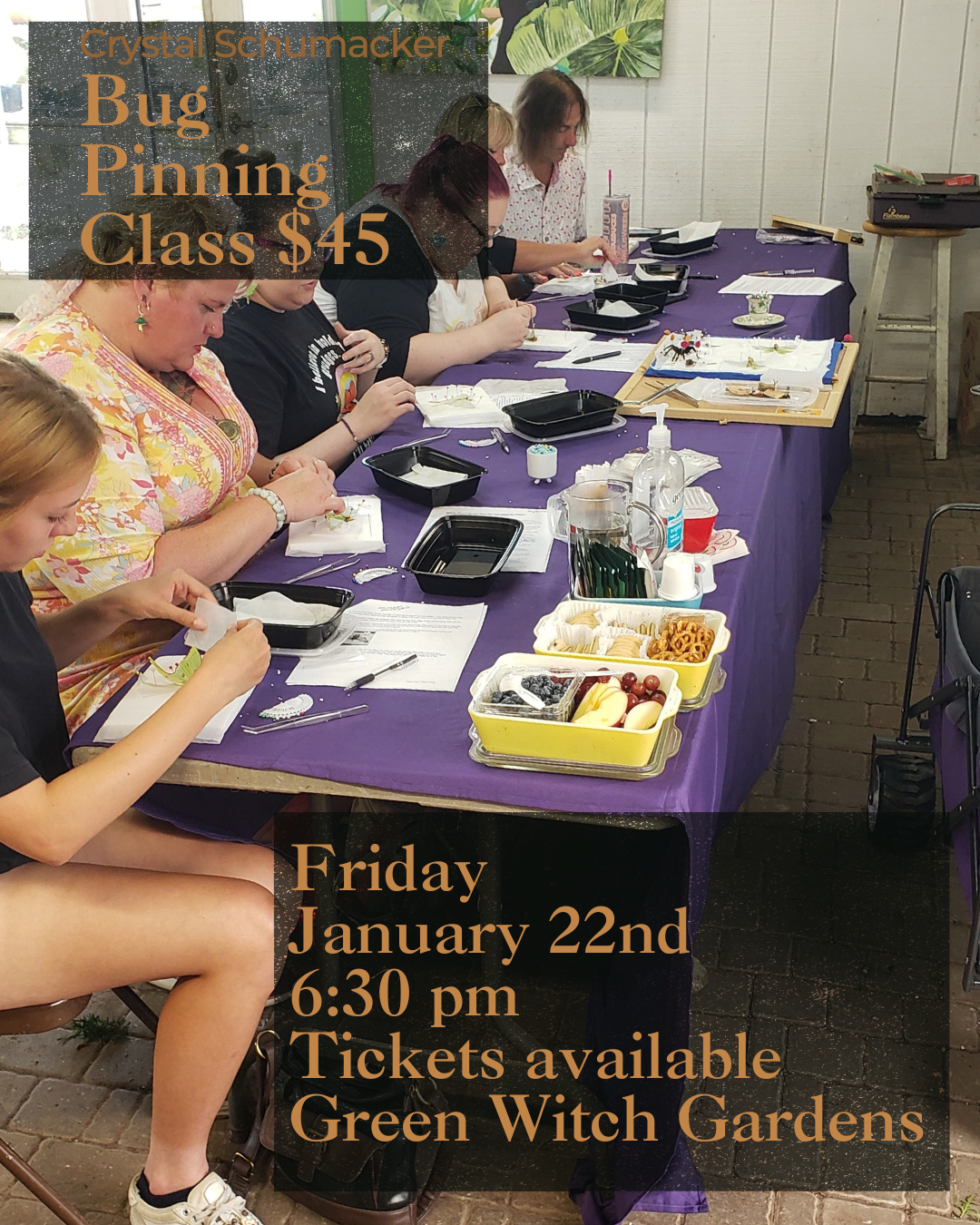 Bug Pinning Class 1.22.27