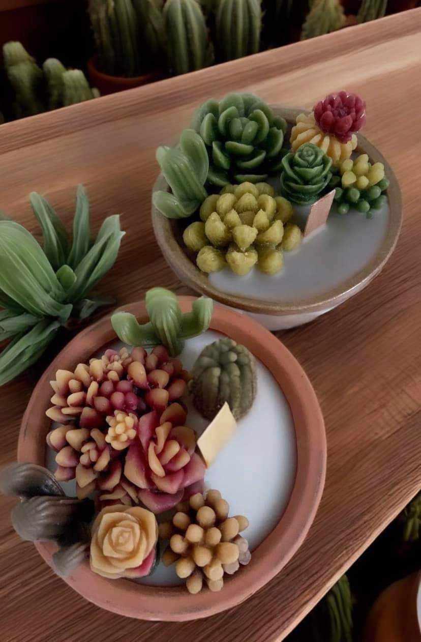 * SOLD OUT* Succulent Candle Making with Wonder Fool Art & Designs - 2/23/25 at 1pm