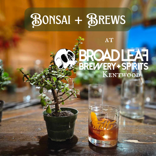 Bonsai + Brews at Broadleaf Brewery & Spirits - 3/8/2025 at 1pm