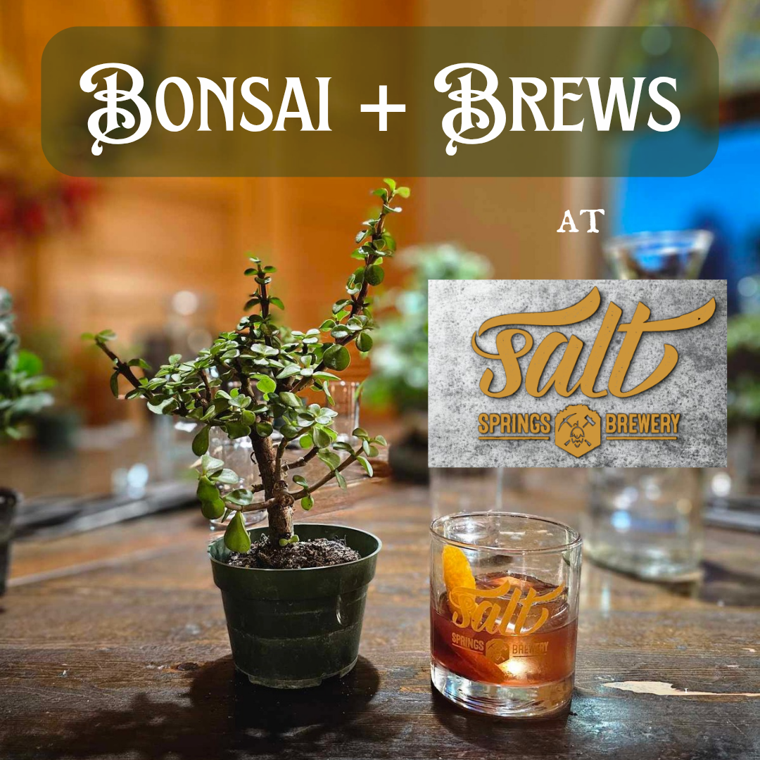 Bonsai + Brews at Salt Springs - 1/27/26 at 6:30pm