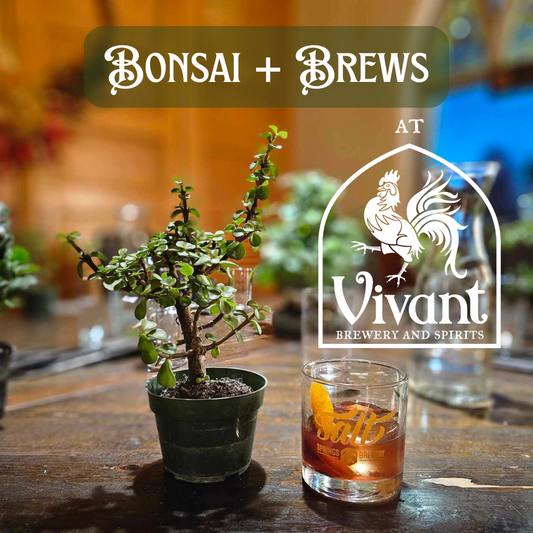 Bonsai + Brews at Brewery Vivant - 3/6/2025 at 6pm