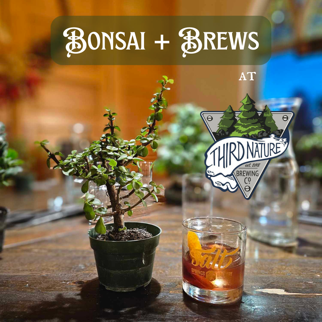 Bonsai + Brews at Third Nature Brewing - 3/7/2025 at 6pm