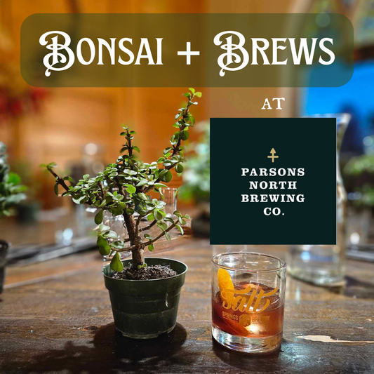 Bonsai + Brews at Parsons North Brewing Co. - 11/22/25 at 3pm