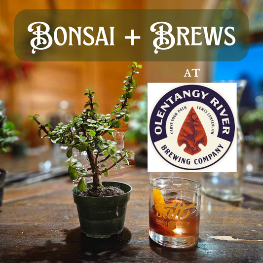 Bonsai + Brews at Olentangy River Brewing Company - 11/23/25 at 4pm