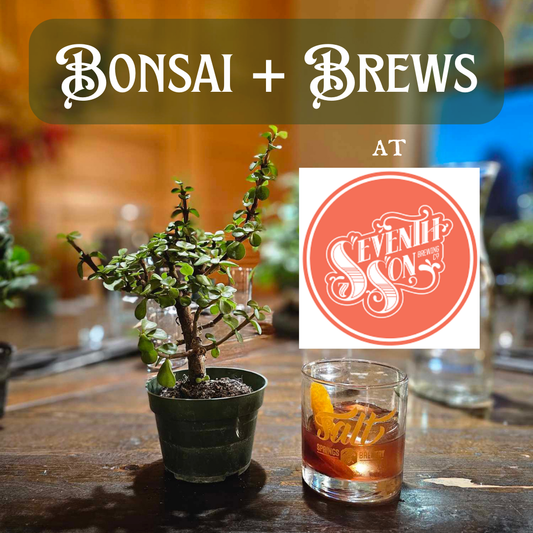 Bonsai + Brews at Seventh Son Brewing Co - 11/22/25 at 11am