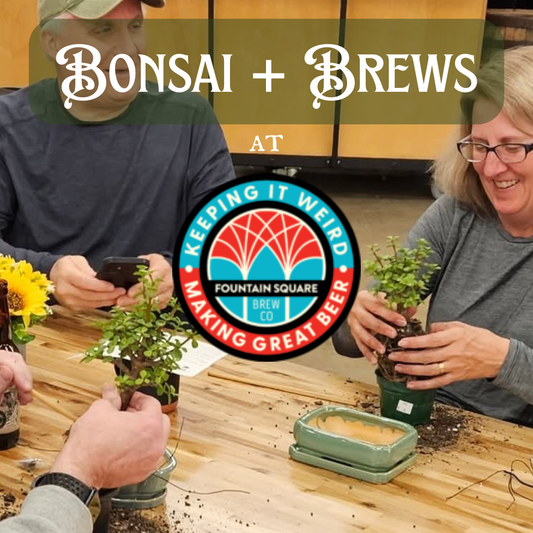 Bonsai + Brews at Fountain Square Brew Co. - 1/31/26 at 1pm