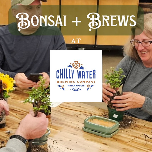 Bonsai + Brews at Chilly Water Brewing Company - 2/1/26 at 1pm