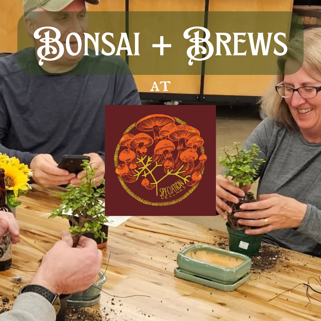 *Sold Out* Introductory Bonsai Class at Speciation Cellars - 3/1/2026 at 12pm