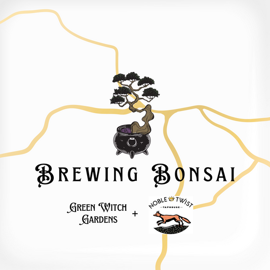 Brewing Bonsai at Noble Twist- 01/09/27