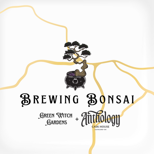 Brewing Bonsai at Anthology Cask House - 2/18/27 at 6:30pm