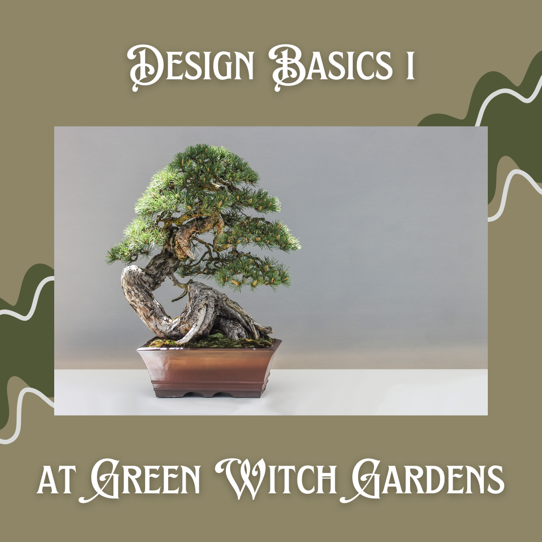 Design Basics I - 1/19/25 at 11am