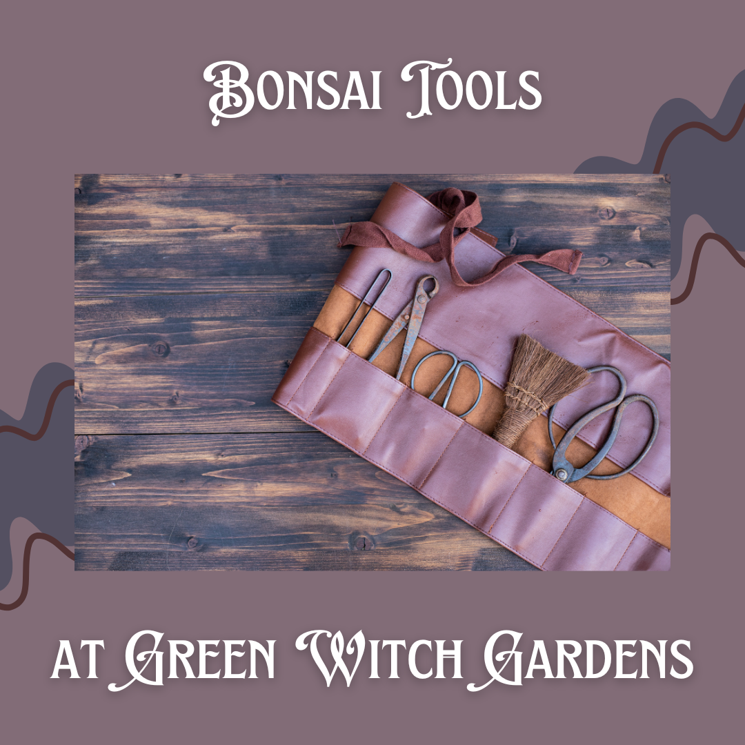 Bonsai Tools - Winter Mini Session - 12/29/24 at 11am