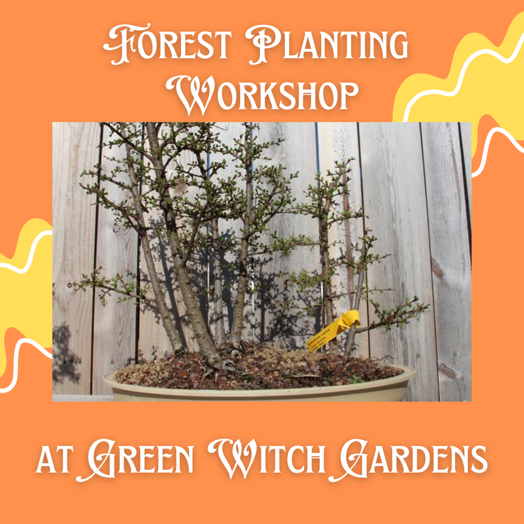 Forest Planting Workshop - 4/28/24 at 10am
