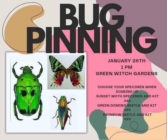 Bug Pinning - 1/26/25 at 1pm