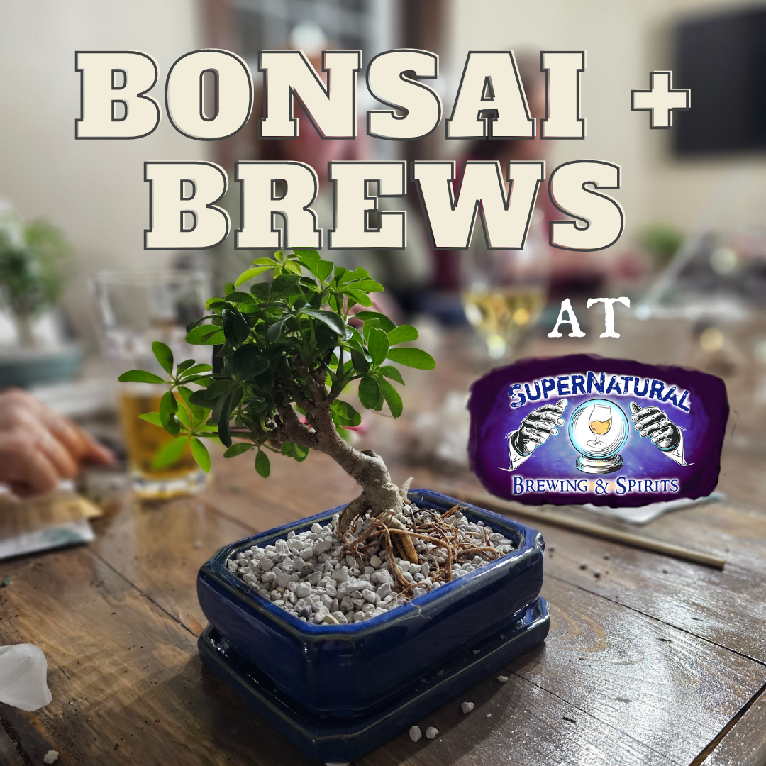 Bonsai + Brews at Supernatural Brewing and Spirits - 1/11/25