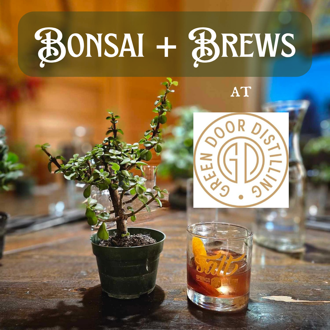 Bonsai + Brews at Green Door Distilling Co. - 12/20/25 at 2pm