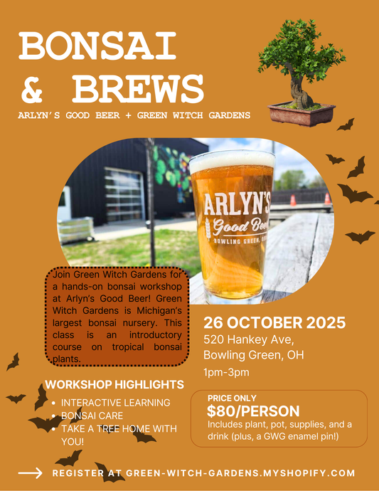 Bonsai + Brew's at Arlyn's Good Beer - 10/26/25 at 1pm