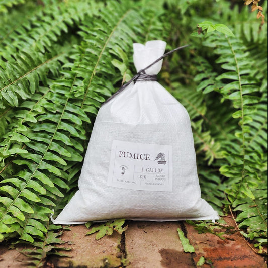 Pumice 1 gal. Refillable Bag