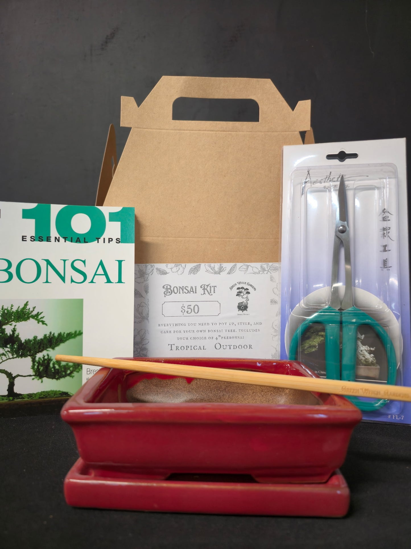 DIY Bonsai Kit