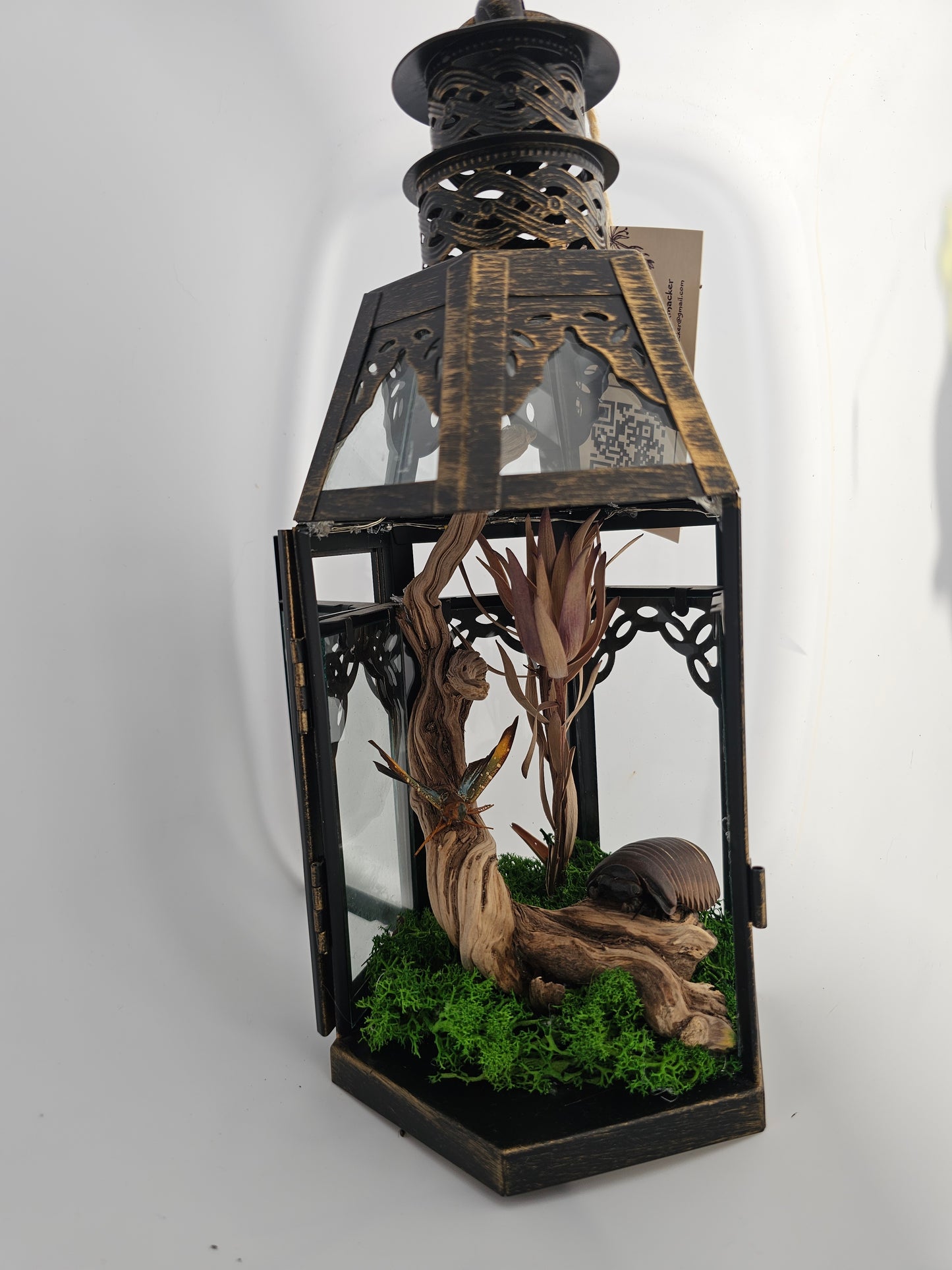 Lantern with giant millipede