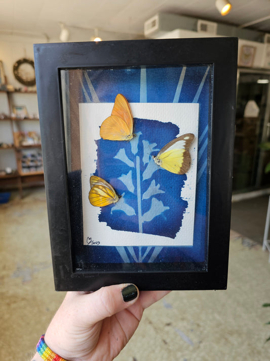 Cyanotype Watercolor with Butterflies